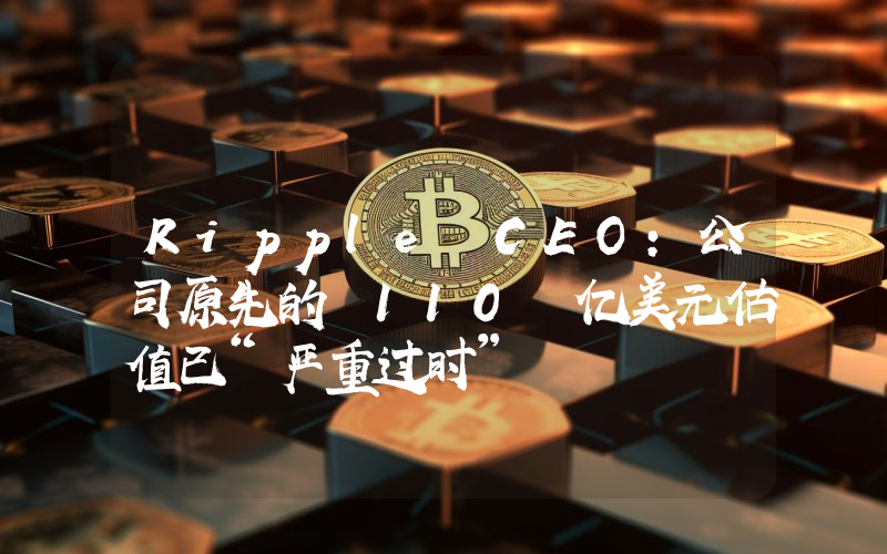 Ripple CEO:公司原先的 110 亿美元估值已“严重过时”