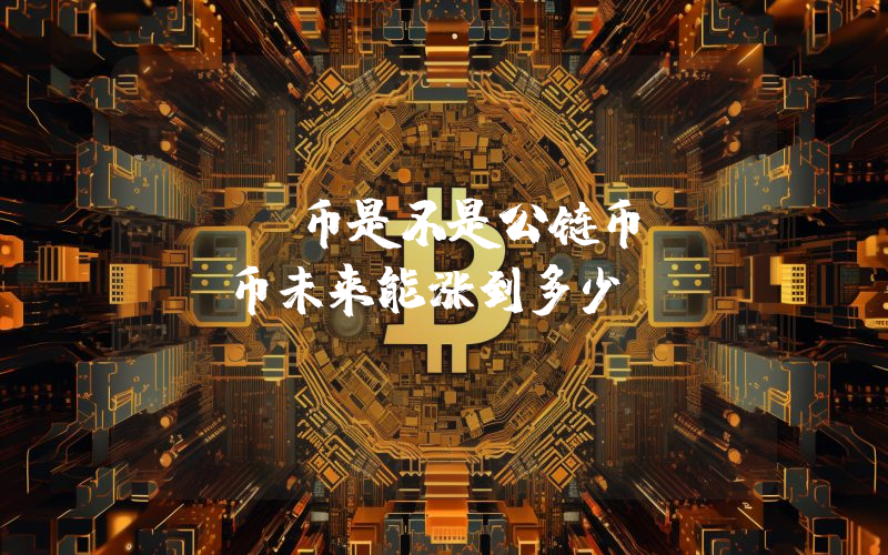 RIO币是不是公链币?RIO币未来能涨到多少?