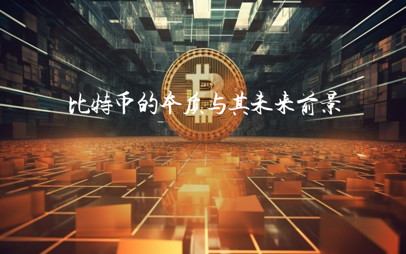 比特币的本质与其未来前景