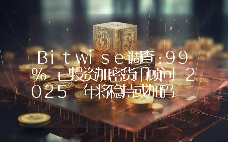 Bitwise调查:99% 已投资加密货币顾问 2025 年将稳持或加码