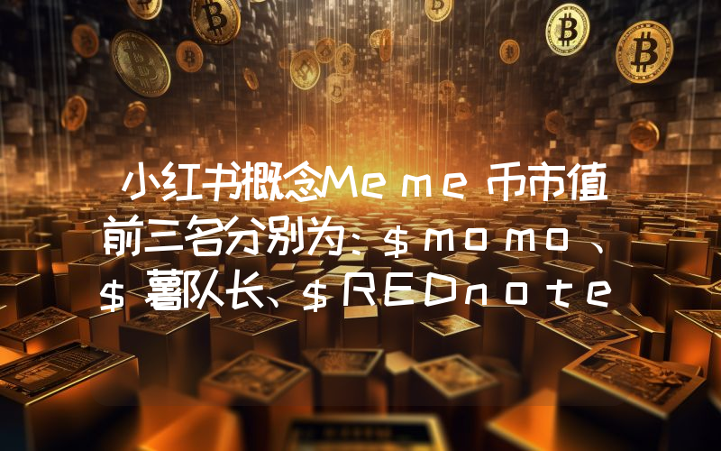 小红书概念Meme币市值前三名分别为:$momo、$薯队长、$REDnote