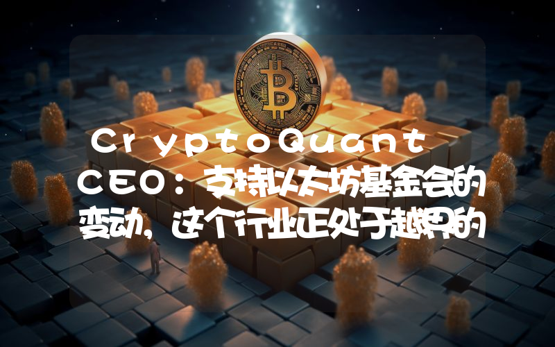 CryptoQuant CEO:支持以太坊基金会的变动,这个行业正处于越界的边缘