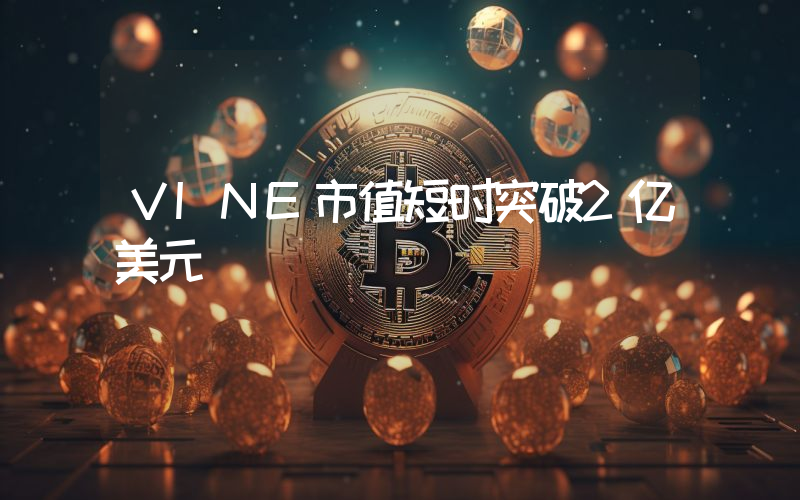 VINE市值短时突破2亿美元