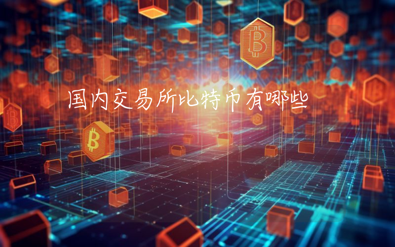 国内交易所比特币有哪些