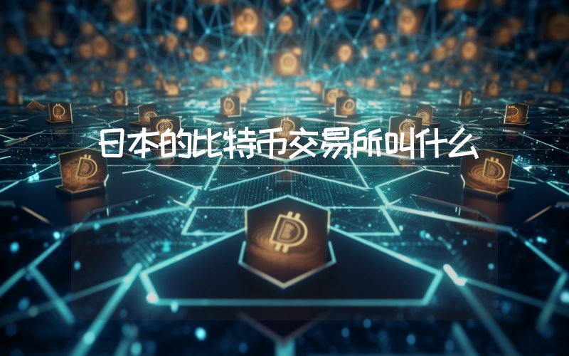 日本的比特币交易所叫什么