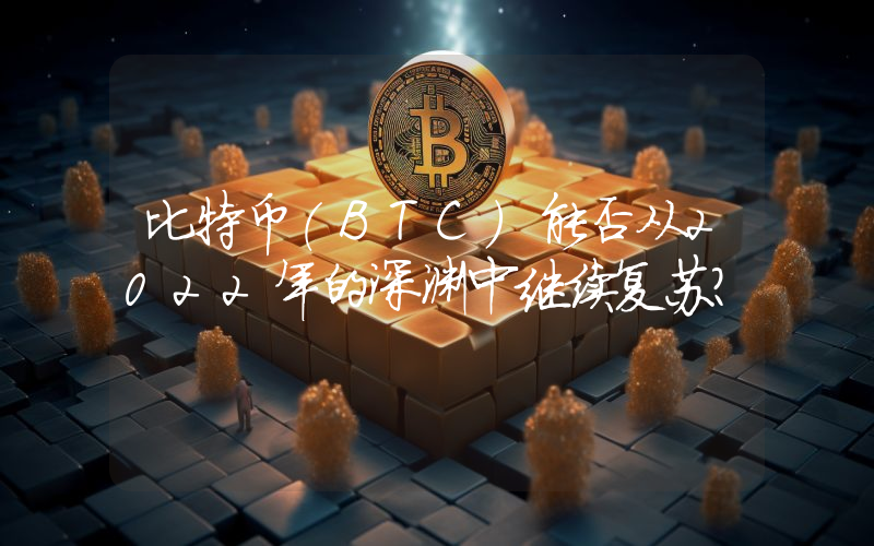 比特币(BTC)能否从2022年的深渊中继续复苏？