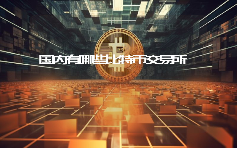 国内有哪些比特币交易所