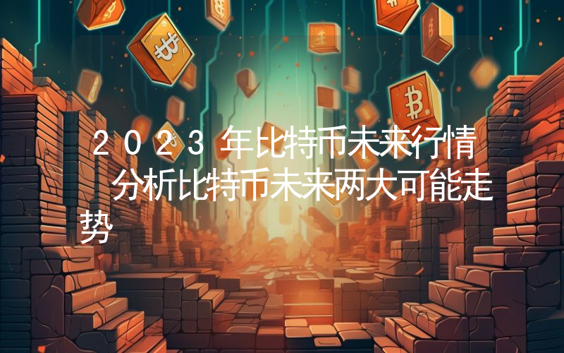 2023年比特币未来行情 分析比特币未来两大可能走势