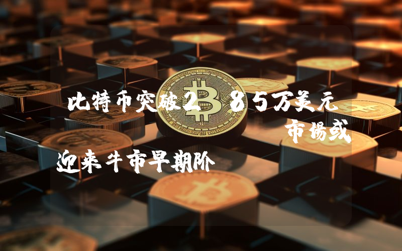比特币突破2.85万美元！Bitfinex：市场或迎来牛市早期阶段