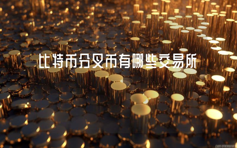 比特币分叉币有哪些交易所