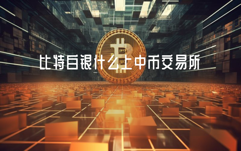 比特白银什么上中币交易所