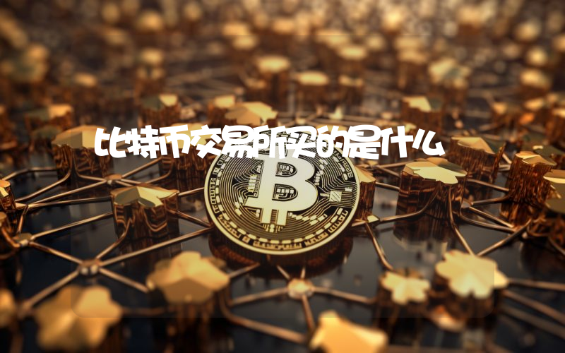 比特币交易所买的是什么