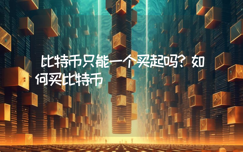 比特币只能一个买起吗?如何买比特币