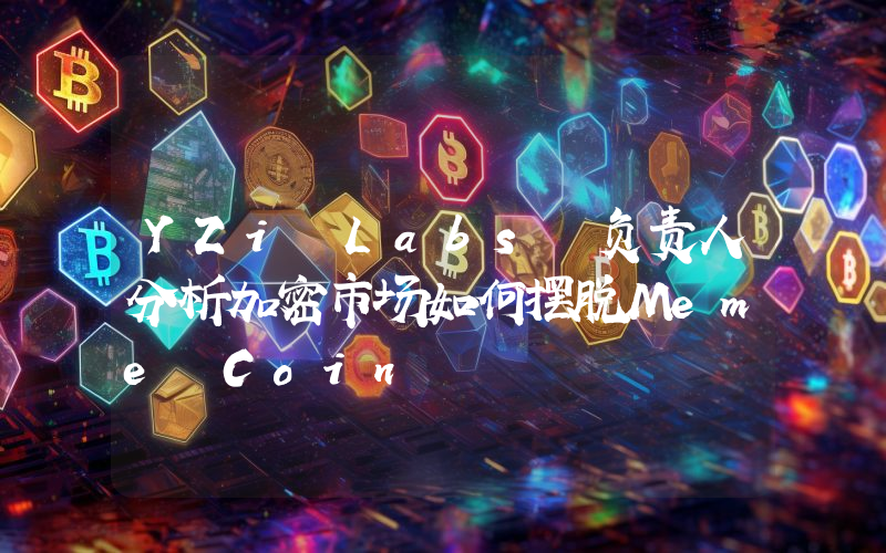 YZi Labs 负责人分析加密市场如何摆脱Meme Coin
