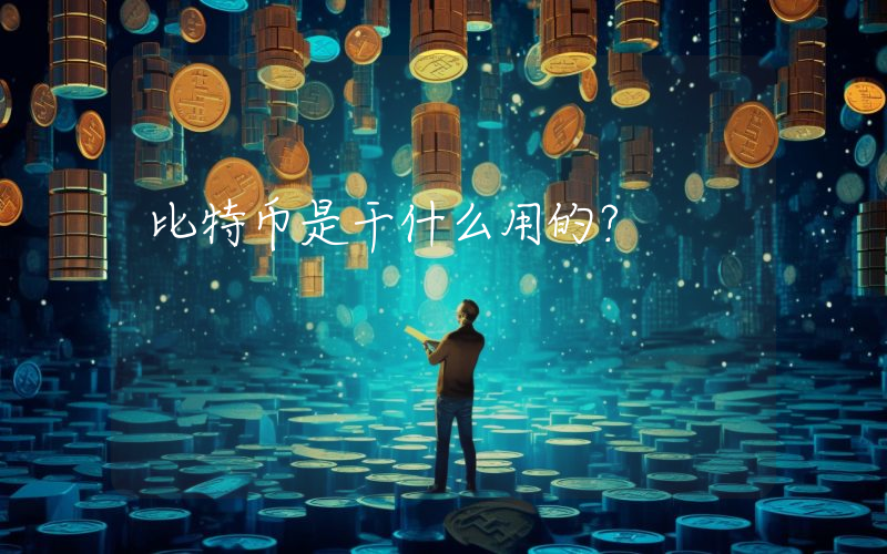 比特币是干什么用的?