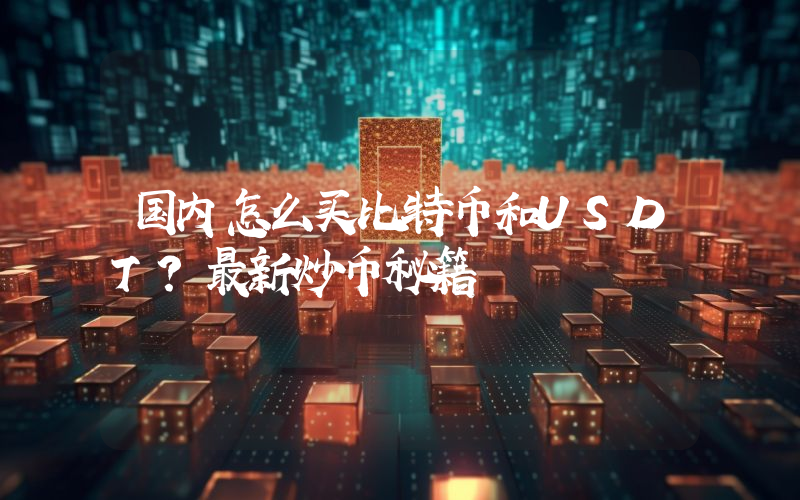 国内怎么买比特币和USDT?最新炒币秘籍