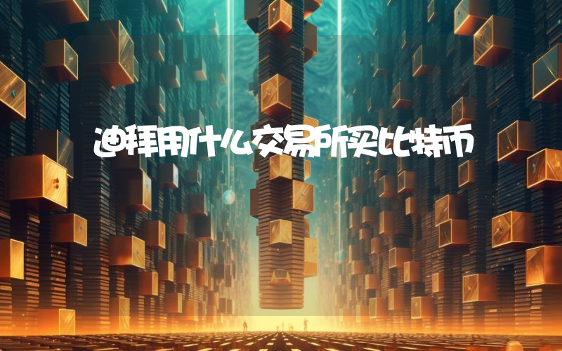 迪拜用什么交易所买比特币