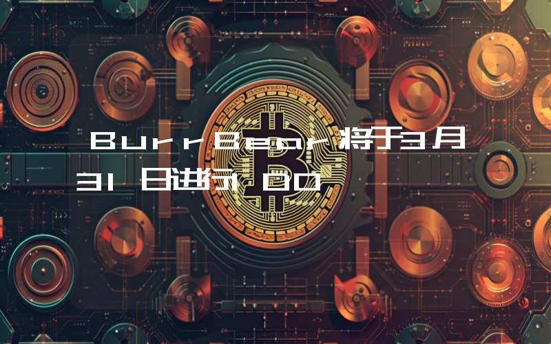 BurrBear将于3月31日进行IDO