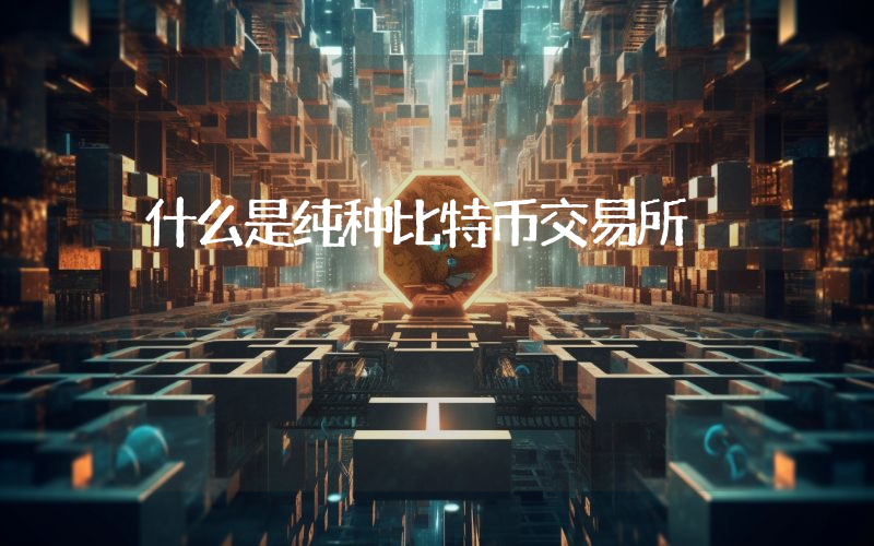 什么是纯种比特币交易所