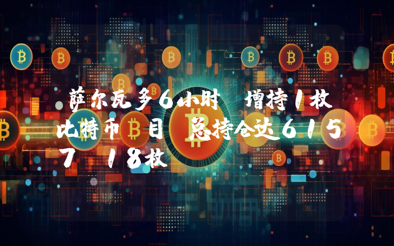 萨尔瓦多6小时前增持1枚比特币,目前总持仓达6157.18枚
