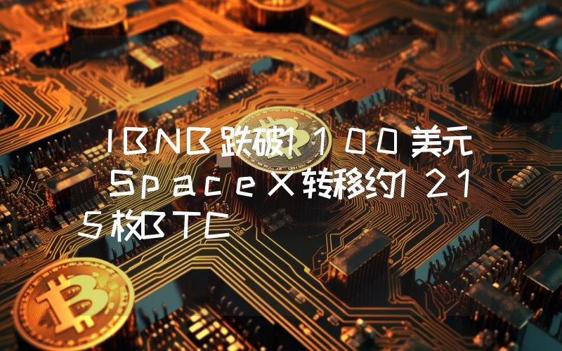 丨BNB跌破1100美元 SpaceX转移约1215枚BTC