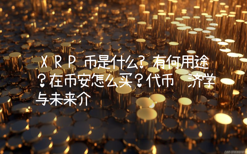 XRP币是什么?有何用途？在币安怎么买？代币经济学与未来介绍