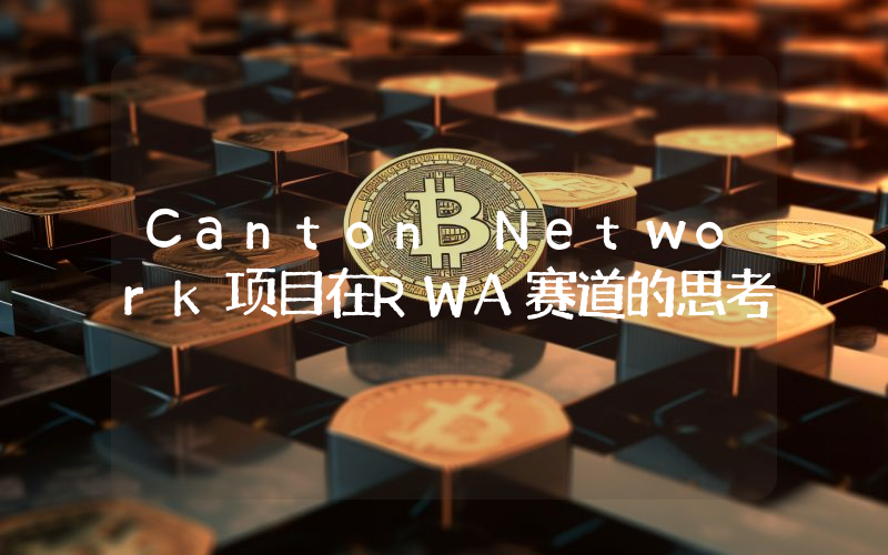 Canton Network项目在RWA赛道的思考