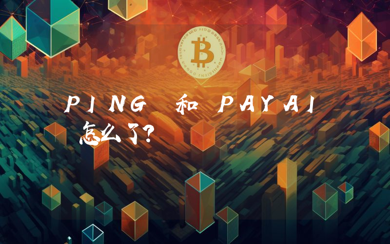 PING 和 PAYAI 怎么了？