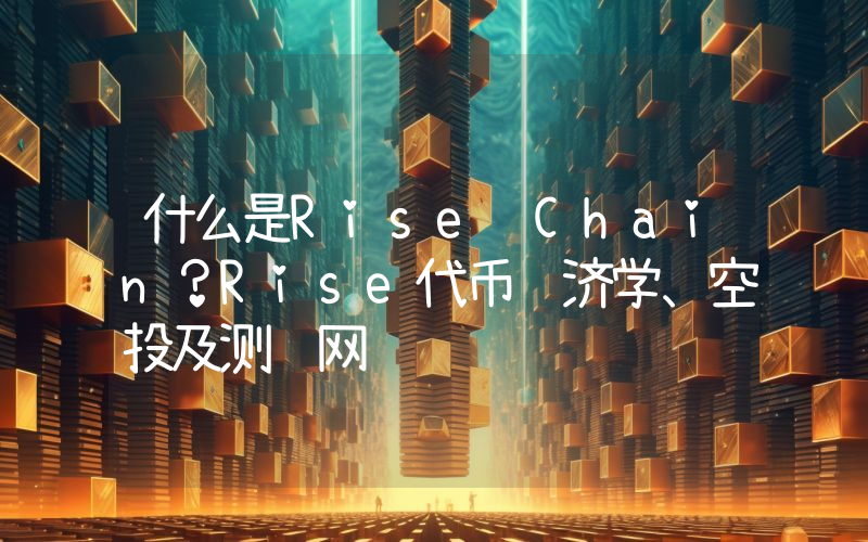 什么是Rise Chain？Rise代币经济学、空投及测试网