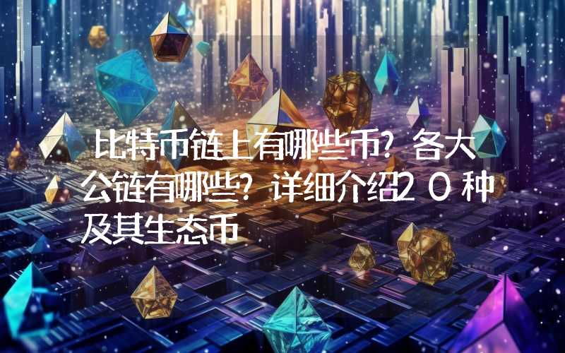 比特币链上有哪些币？各大公链有哪些？详细介绍20种及其生态币