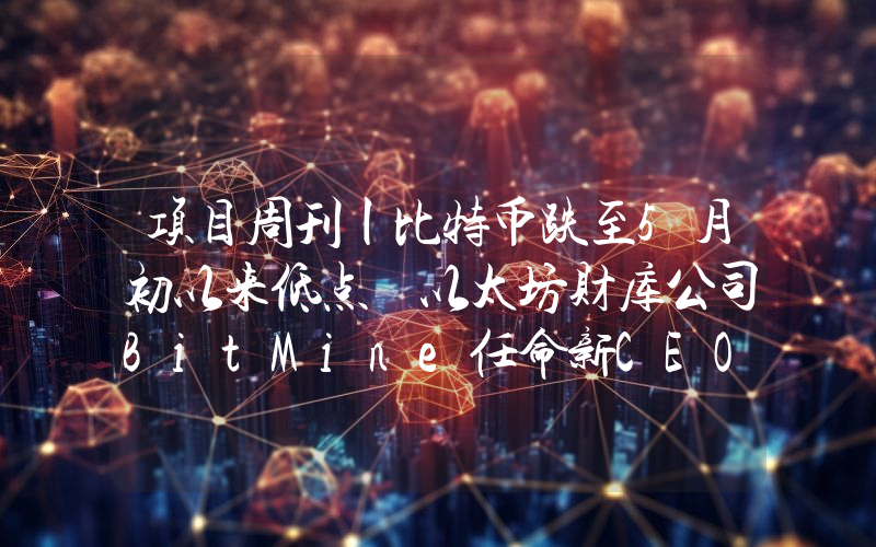 项目周刊丨比特币跌至5月初以来低点 以太坊财库公司BitMine任命新CEO