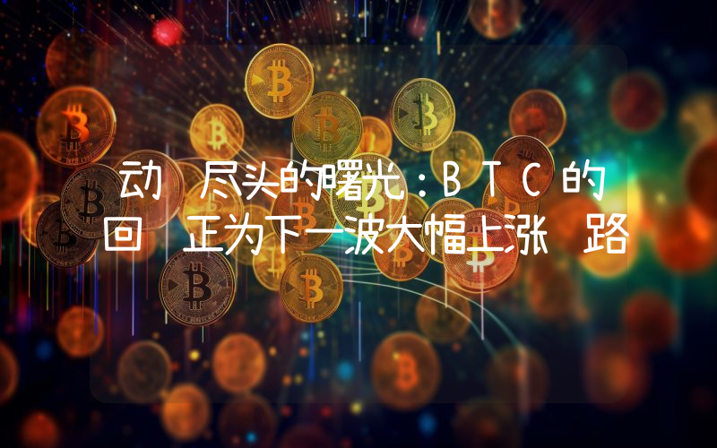 动荡尽头的曙光：BTC的回调正为下一波大幅上涨铺路