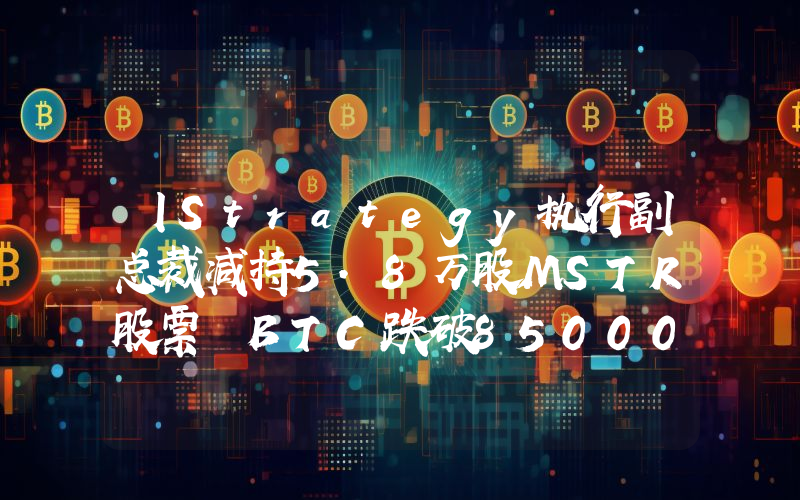 丨Strategy执行副总裁减持5.8万股MSTR股票 BTC跌破85000美元