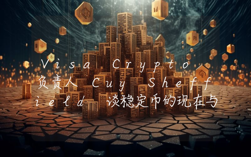 Visa Crypto 负责人 Cuy Sheffield 谈稳定币的现在与未来