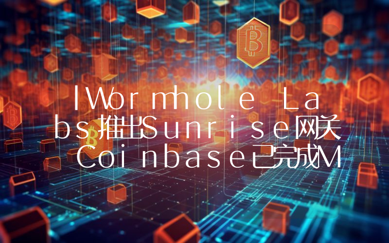 丨Wormhole Labs推出Sunrise网关 Coinbase已完成MON公售