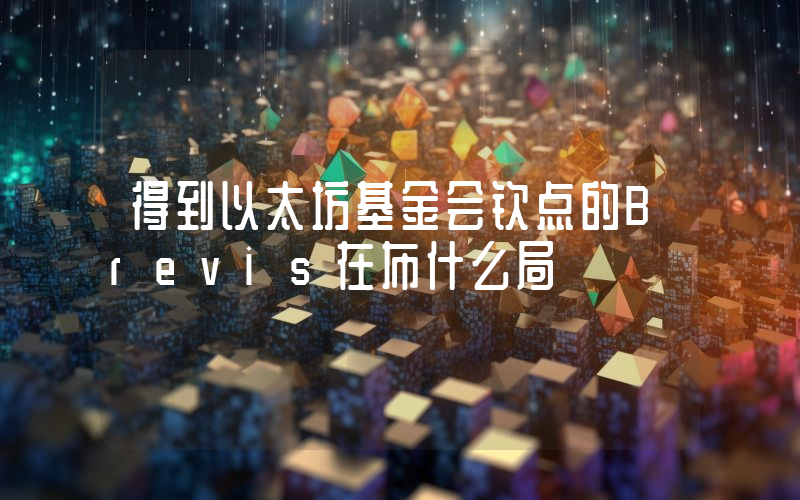 得到以太坊基金会钦点的Brevis在布什么局