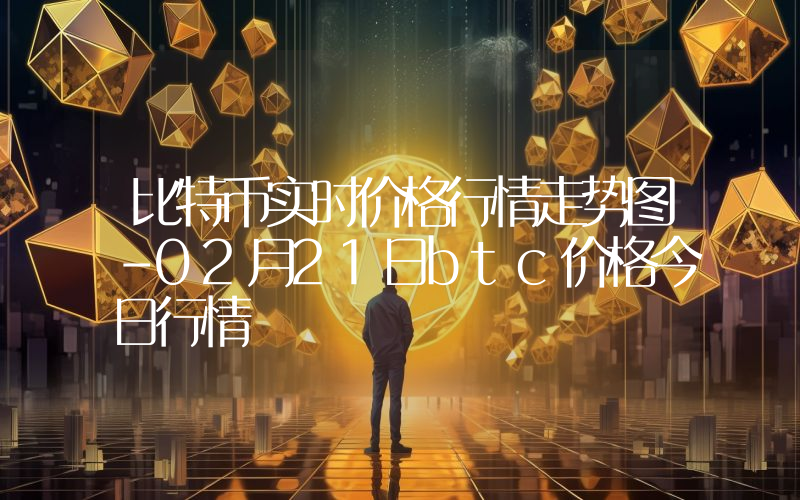 比特币实时价格行情走势图-02月21日btc价格今日行情