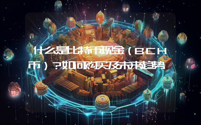 什么是比特币现金（BCH币）？如何购买及未来趋势