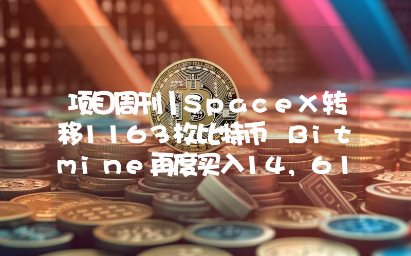 项目周刊丨SpaceX转移1163枚比特币 Bitmine再度买入14,618枚以太坊