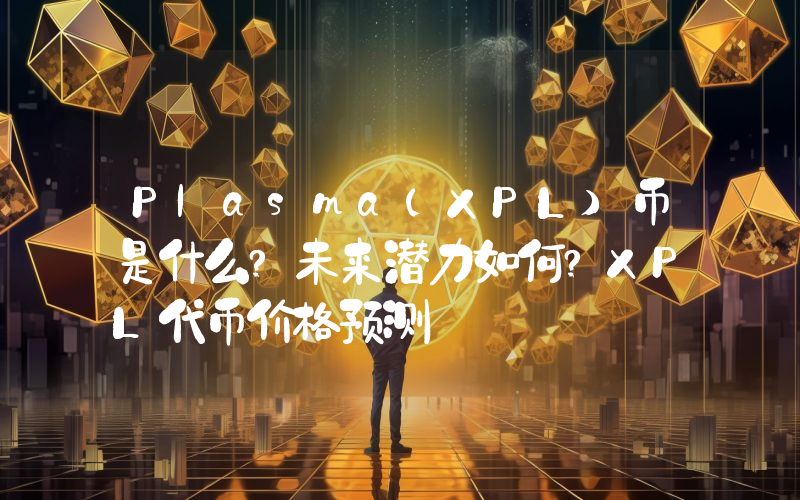 Plasma(XPL)币是什么?未来潜力如何?XPL代币价格预测