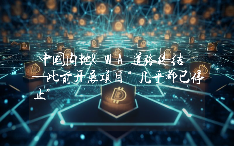 中国内地RWA道路终结——此前开展项目“几乎都已停止”