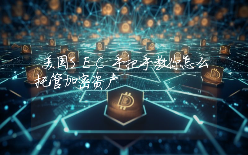美国SEC手把手教你怎么托管加密资产