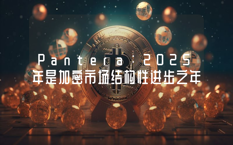 Pantera：2025年是加密市场结构性进步之年