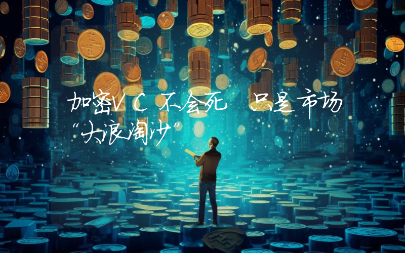 加密VC不会死 只是市场“大浪淘沙”