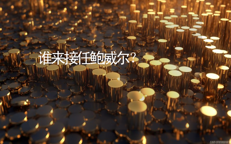 谁来接任鲍威尔？