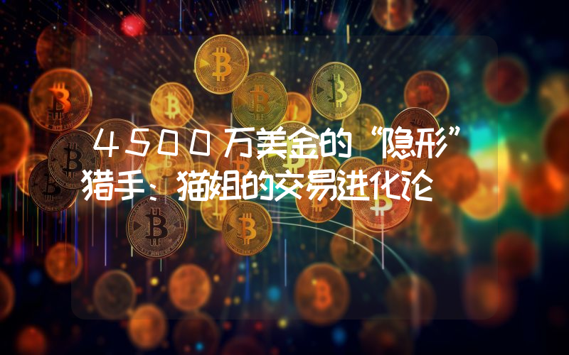 4500万美金的“隐形”猎手：猫姐的交易进化论