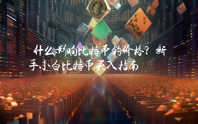 什么影响比特币的价格？新手小白比特币买入指南