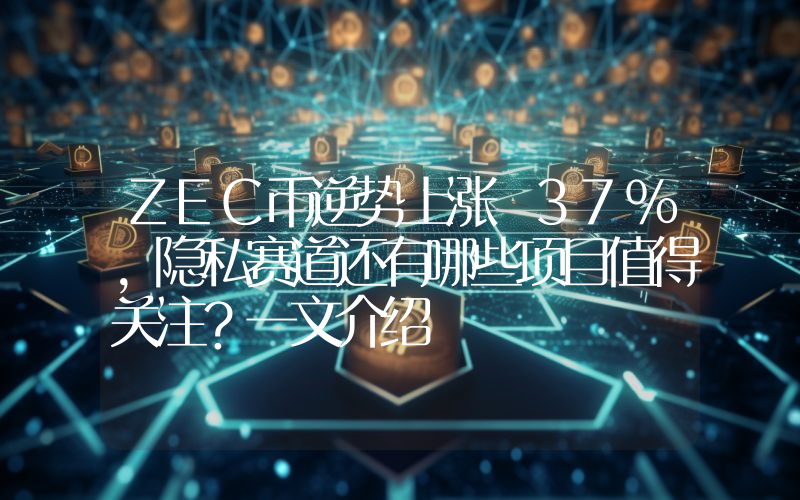 ZEC币逆势上涨 37%，隐私赛道还有哪些项目值得关注？一文介绍