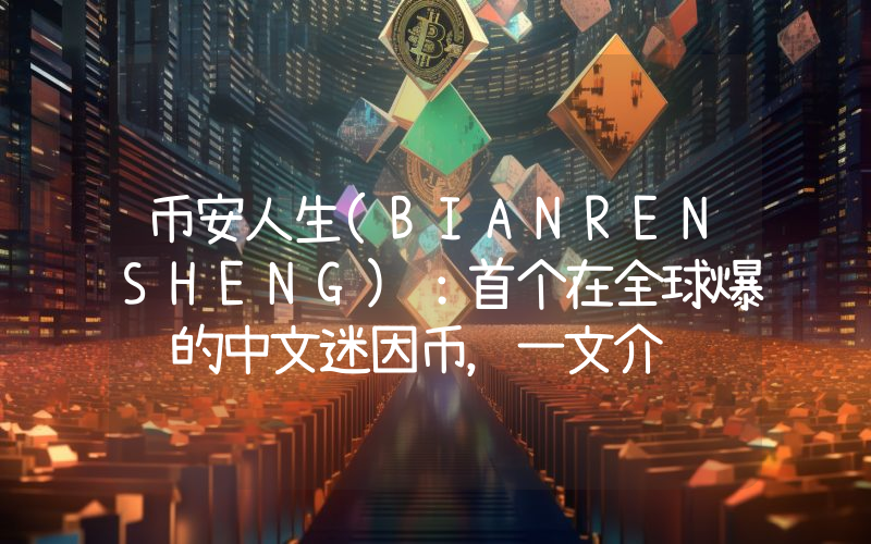 币安人生(BIANRENSHENG)：首个在全球爆红的中文迷因币，一文介绍