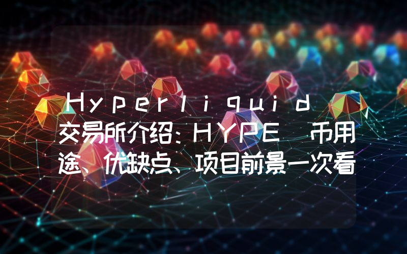 Hyperliquid 交易所介绍：HYPE 币用途、优缺点、项目前景一次看懂！